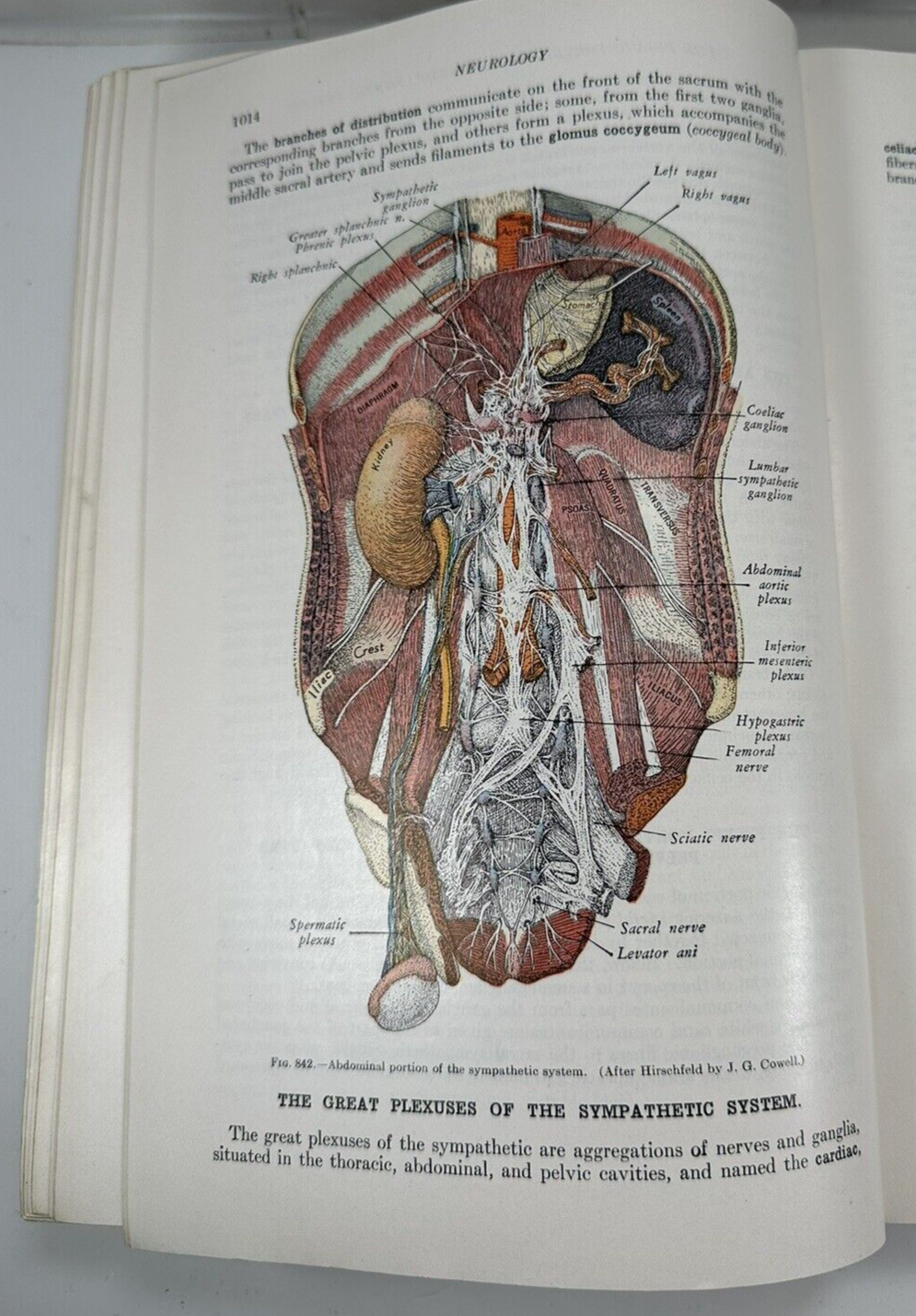 Picture 8 of 9