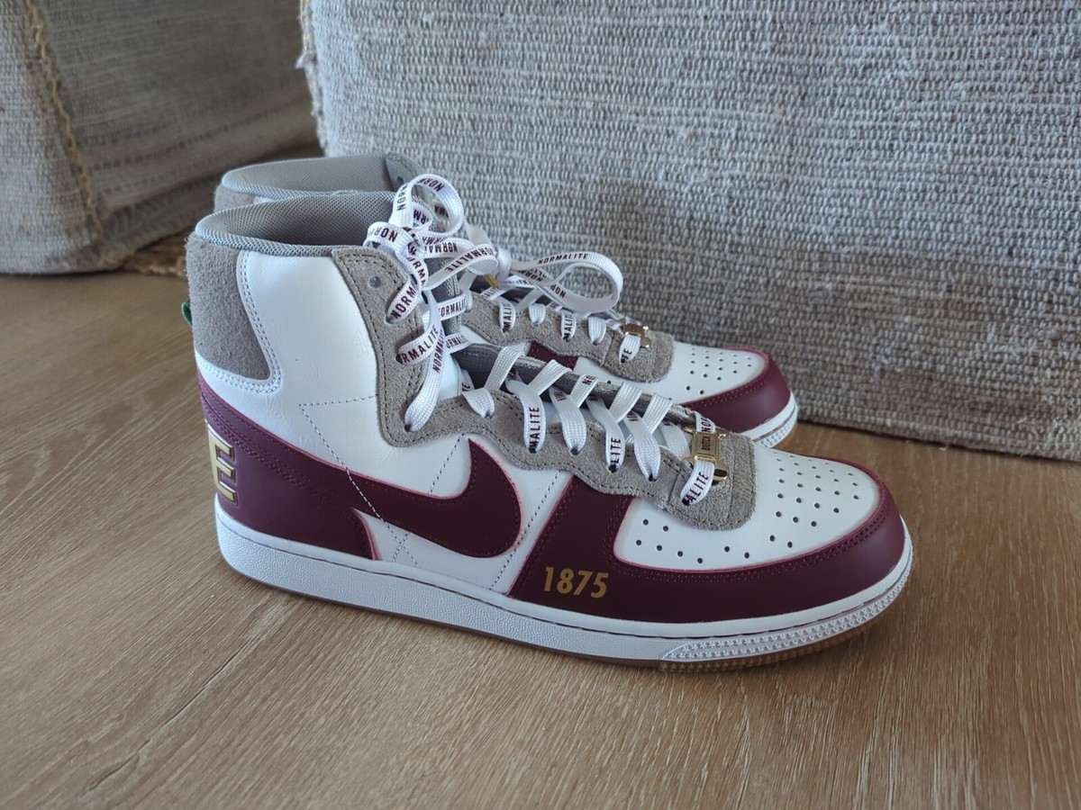 Size 11 Nike Alabama A&M University x Terminator High Bulldogs