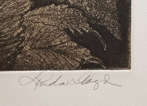LINDA LLOYD, Original Etching, Hibiscus, Signed Numbered - Picture 7 of 7