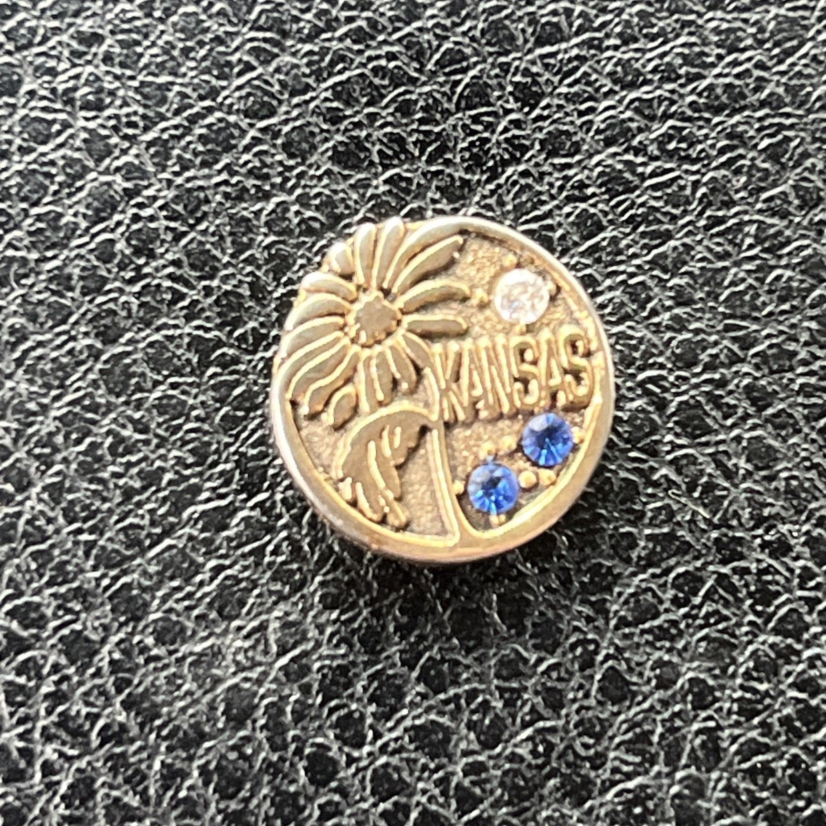 Lapel Pin View 2