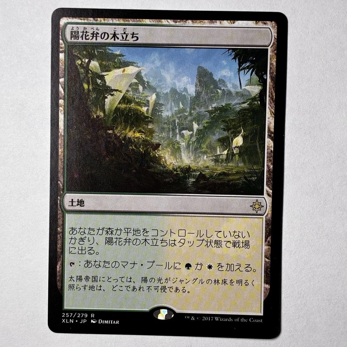【MTG】 LANDS ホームランド 伊語版 仏語版 独語版 Basic Lands - Japanese Woodblock Print Style – Print Ready Digital