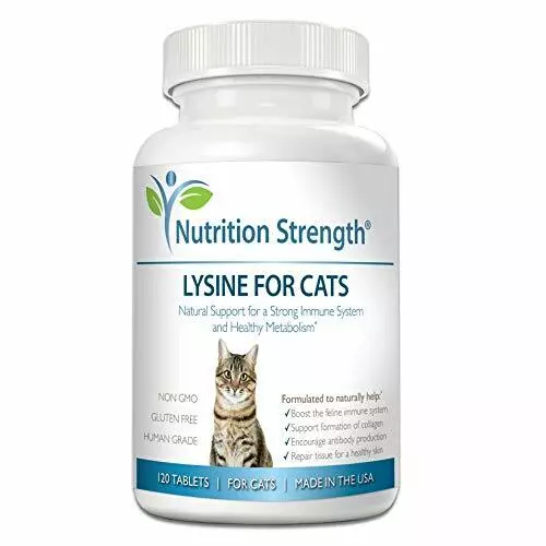 Human lysine top for cats