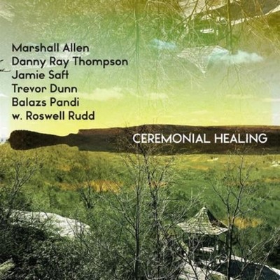 Marshall Allen, Danny Ray Thompson, Jamie Saft, Trevor D Ceremonial Heal (Vinyl)