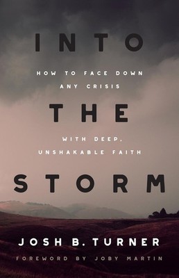 Into the Storm: How to Face Down Any Crisis with Deep, Unshakable Faith by Joby 