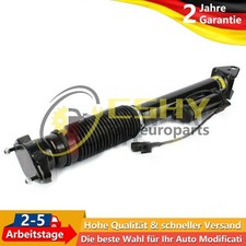 Sto&szlig;d&auml;mpfer Luftfederung Hinten F&uuml;r Mercedes GLE M-Klasse W166 ML63 AMG 4Matic
