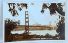 Vintage Photographs & Postcards (A Few Are Dated 1938, 1943, 1945) — photo 8
