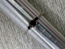 Elegant Sterling Silver Black Sapphire Three Stone Ring US Size 6.5 Fine Jewelry