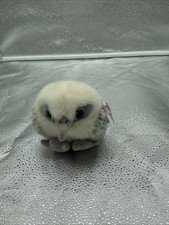 1994 Puffkins Collectible Plush Owl SWOOP 5-11-98 6664 Stuffed Animal W/Tag