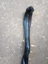 Cobra snake design wooden walking stick carved for men women walking cane
