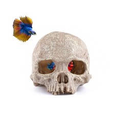 Carefree Fish Aquarium Decoration Skull Tank Head Skeleton 1white