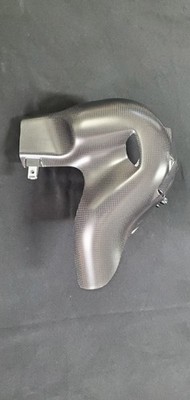 INSANE CARBON FIBER HEAT GUARD REAR 46111302AA - Ducati OEM Original  V4R V4SP2
