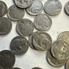 Collection of 25 Full Date Indian Head / Buffalo Nickels.