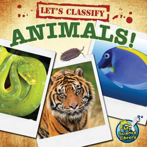Let's Classify Animals (My Science Library) - Paperback By Hicks, Kelli - GOOD