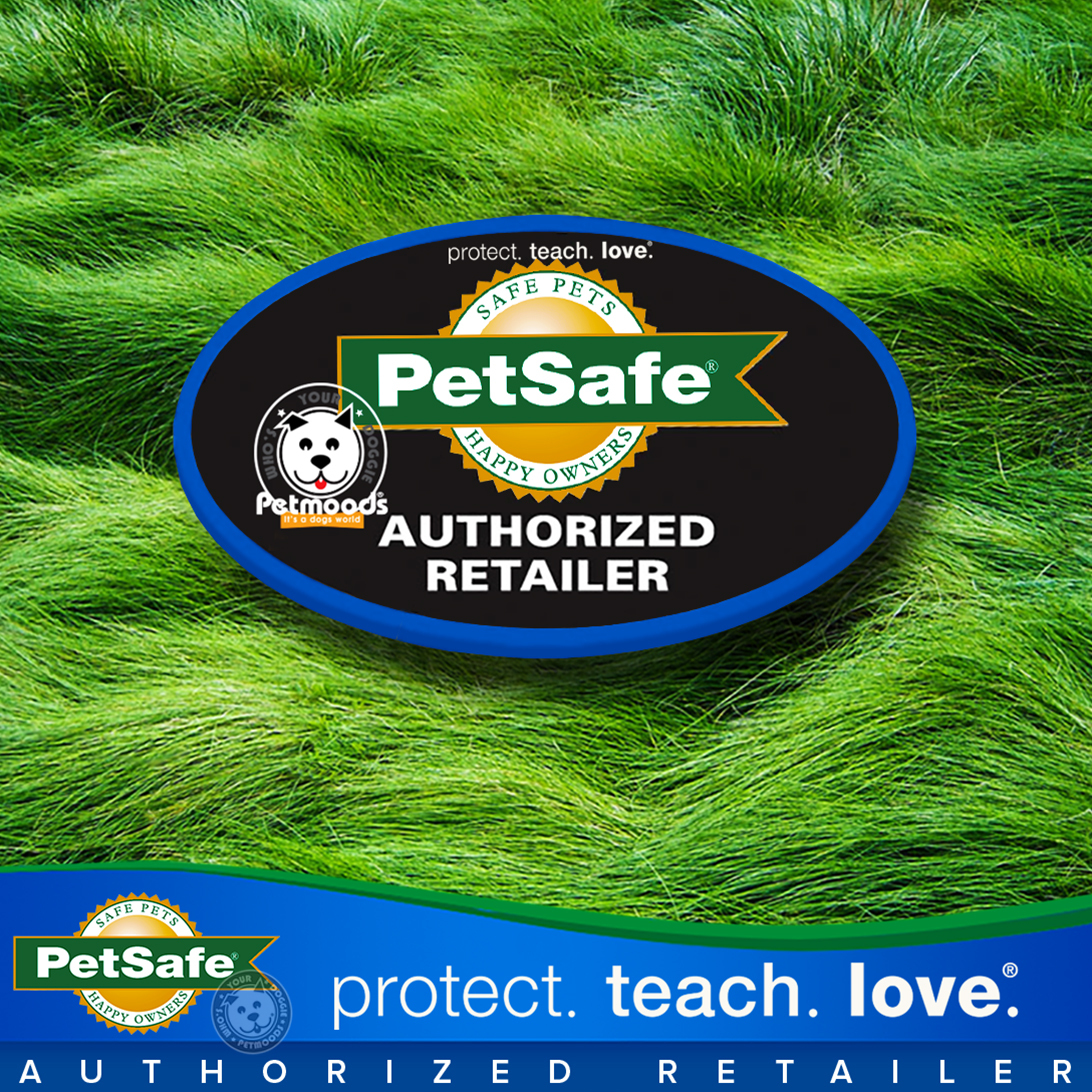 PetSafe Fence Training Flags for In-Ground Wireless Dog Fence Qty 50