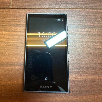 SONY ウォークマン NW-A106 デジタルオーディオプレーヤー 2344 SONY Walkman NW-A106 Digital Audio Player 2344 From Japan | eBay