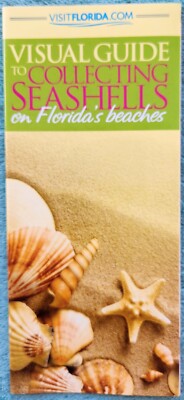 Waterproof Visual Fold Out Guide To Collecting Seashells On Florida's Beaches