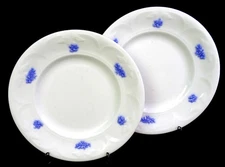 Adderley Porcelain Chelsea Blue Grape 2 Pc Antique 7 3/4" Salad Plates 1912-1926