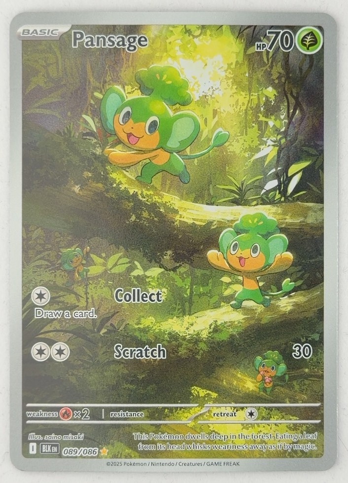 Pansage Illustration Rare 89 Black Bolt Pokemon TCG