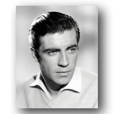 Alan Bates Photo 8x10 1960s English Actor Black And White Publicity Still