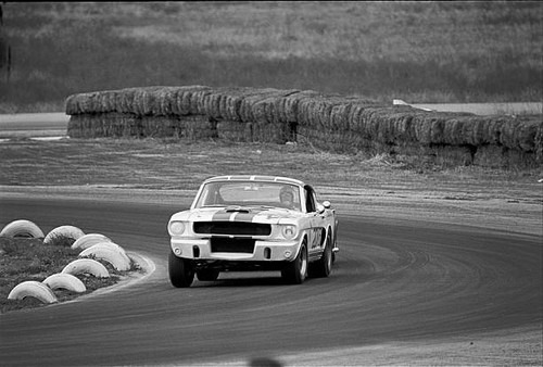 Walt Hane'S Ford Mustang Race Car 1966 Motor Racing Old Photo