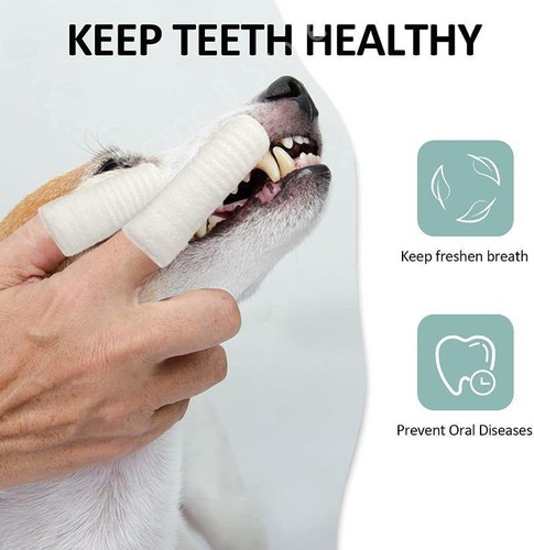 Interactive Chew & Sound Ball for Dogs – Food‑dispensing, Anti‑bite, Teeth‑clean - Picture 13 of 24