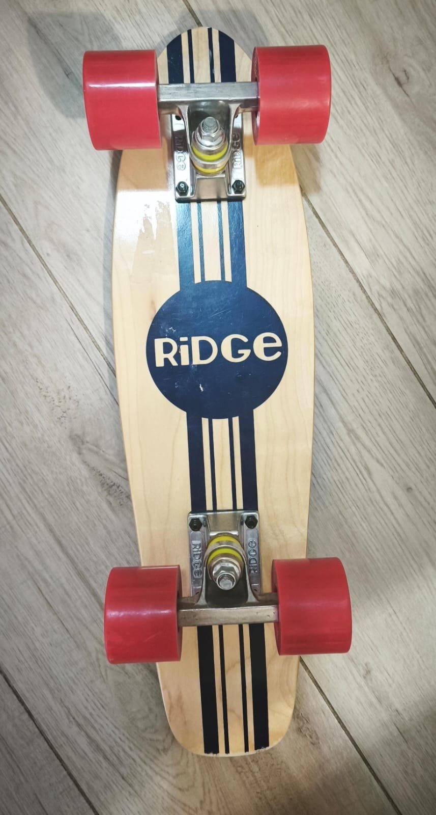 skateboard Ridge Mini Cruiser