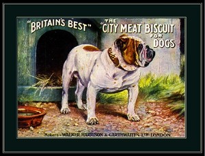 English Print Bull Dog Bulldog Dogs Puppy Biscuit Ad Art Picture Vintage Poster Ebay