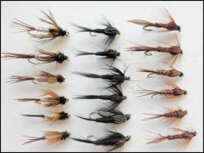 Nymphenforellenfliegen, 18er Pack, Brutsegge, Fasanenschwanz & Schwarzmücke, gemischt