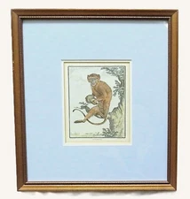 1 of 3 18th c. French George-Louis Leclerc Comte de Buffon Monkey Engraving
