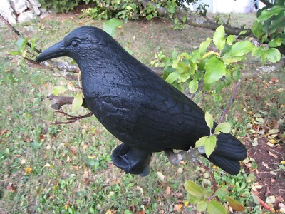 3D Ziel Bogensport Zielscheibe Bogenziel 3D-Tier Rabe schwarz