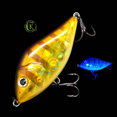 Jerkbait 6,4 cm Topwater Jerk Glider Wobbler Swimbait Hardbait Kunstköder Barsch