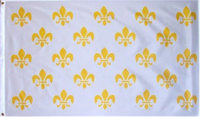 3x5 White New Orleans French 23 Fleur De Lis Flag 3'x5' House Banner Polyester