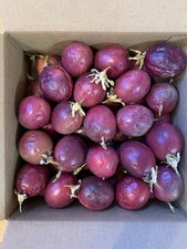 Large Ripe Organic Passion Fruit 7 Pounds