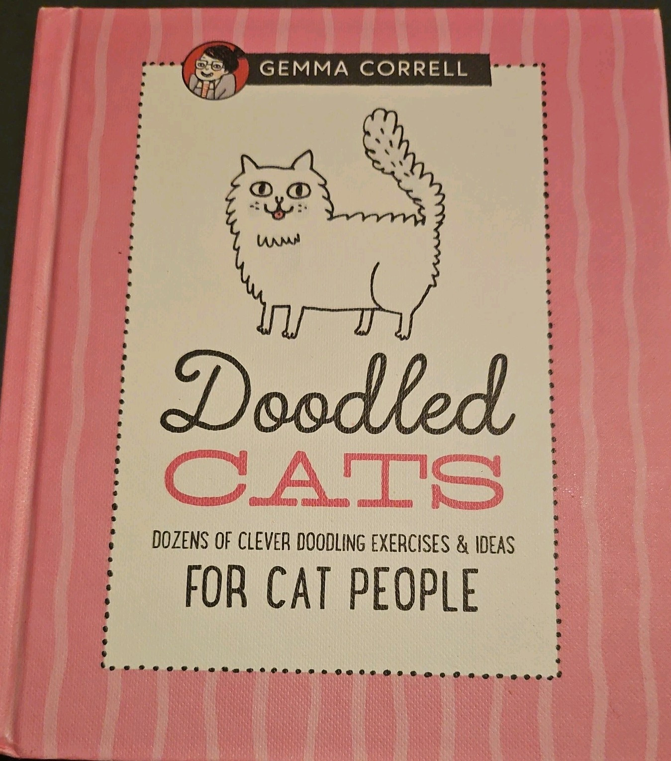 Doodled Cats – Fun Drawing Book with Ideas & Exercises – RRP £9.99 – NEW
