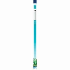 Aqueon T8 Fluorescent Lamp Replacements Daylight 24 Inches