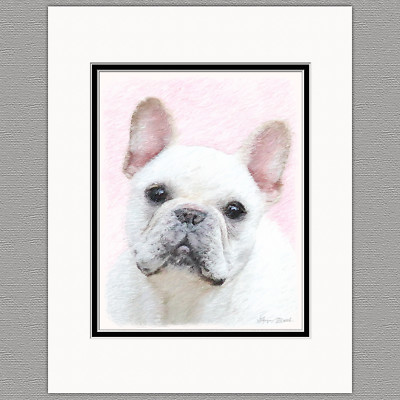 French Bulldog Frenchie Cream White Original Art Print 8x10 Matted to 11x14