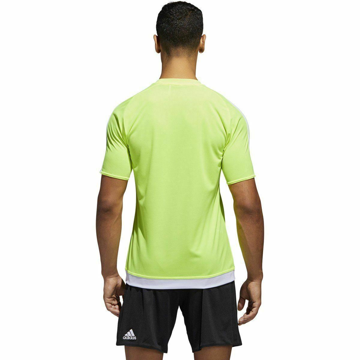 estro 15 jersey