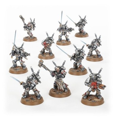 Warhammer 40K Grey Knights Interceptor Squad Pro Painted Commission