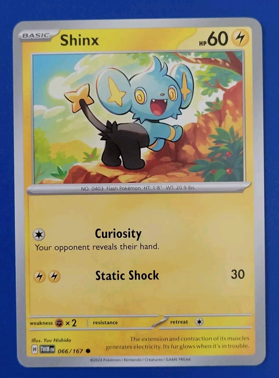 Pokémon TCG Twilight Masquerade: Shinx (066/167) - Common - Near Mint 