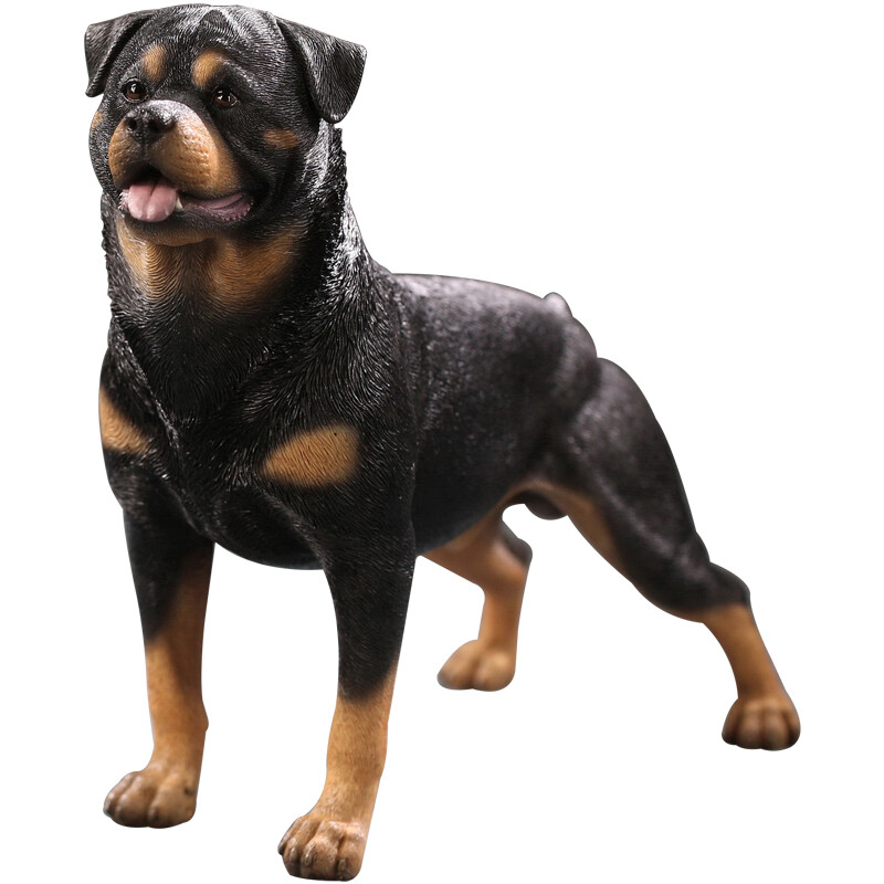 Cootie マジカルデザイン kj rottweiler anidote Cootie マジカルデザイン kj rottweiler anidote