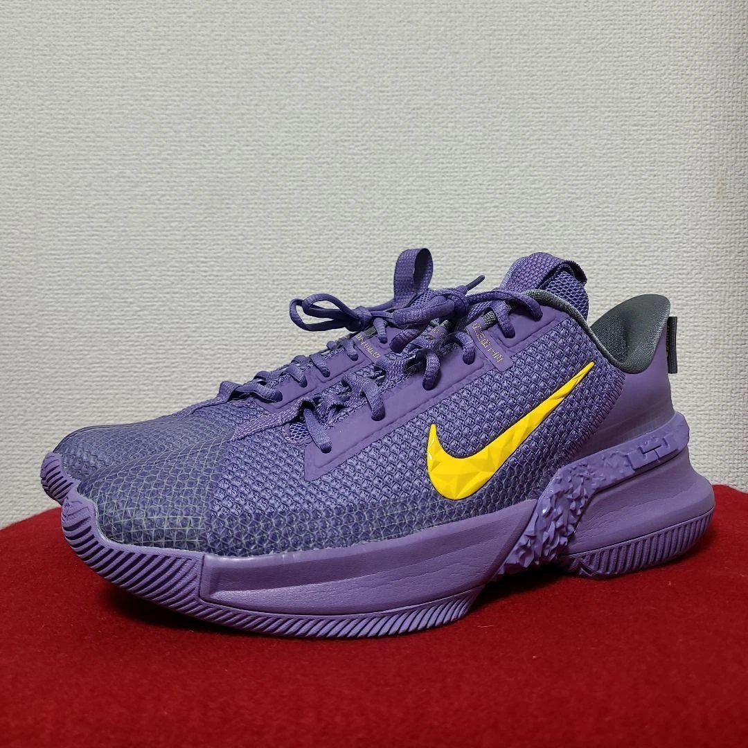 Duplikere Uden for kontakt NIKE LEBRON Ambassador 13 28.5cm | eBay