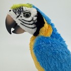 Bild 12 von 24