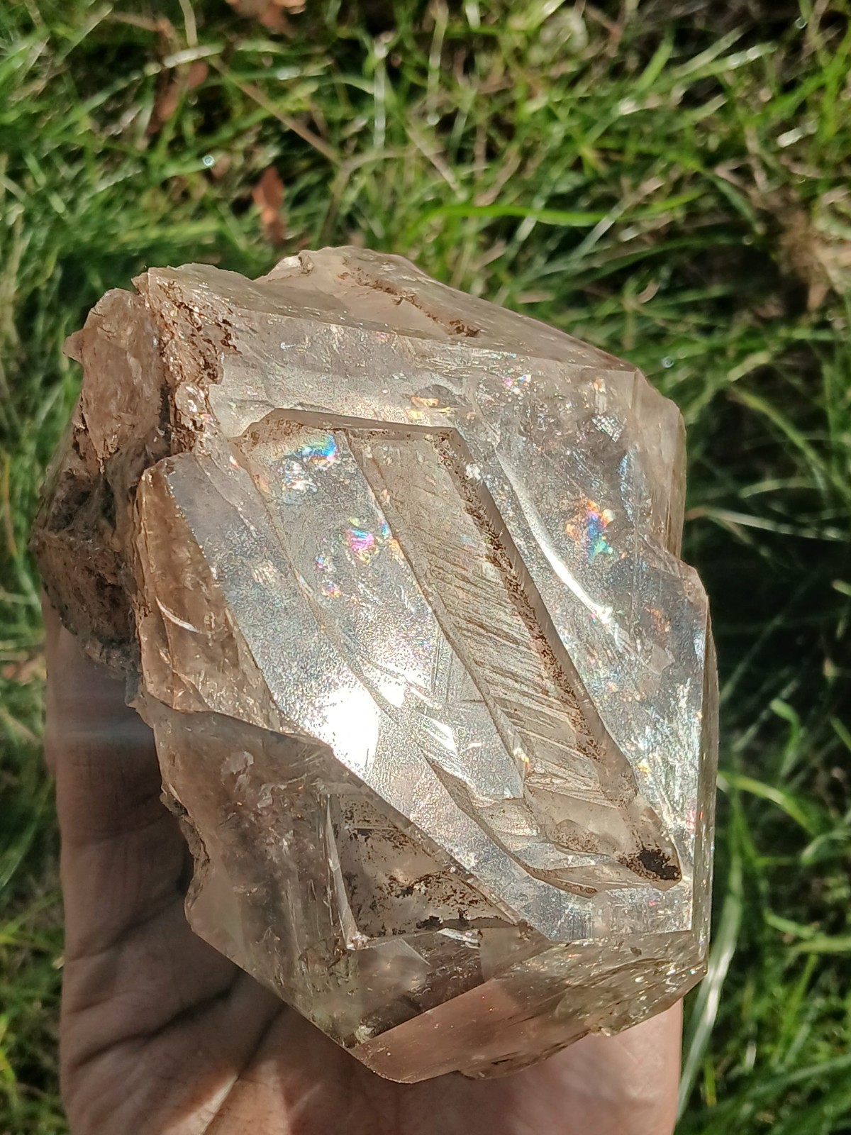 🔥 Huge 4.6 Pounder Herkimer 💎 (Skeletal  Honker) Self Collected In NY  ❤️ 