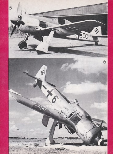 Focke Wulf FW 190 Flugzeugbericht 10/16/2022j - Bild 3 von 8