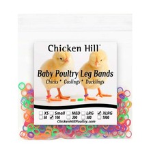 Baby Poultry Chick Leg Bands Size 6 XLarge 100 PCS Identification Rings Marker