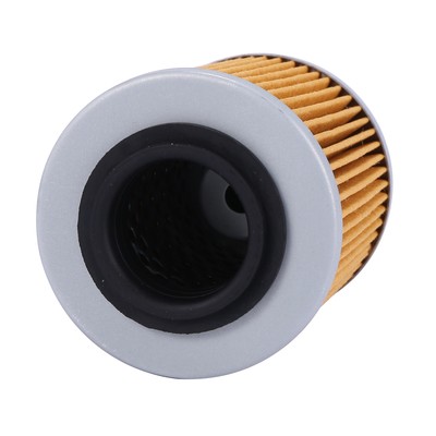 Wresetly Filtre à 420256188 Pour 2003-2020