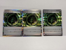 Grass Energy R 078/080 Japanese Holo NM