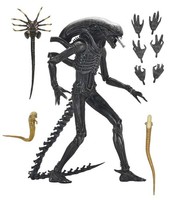 Alien Romulus Xenomorph Xx121 Teration Af Action Neca -Figur