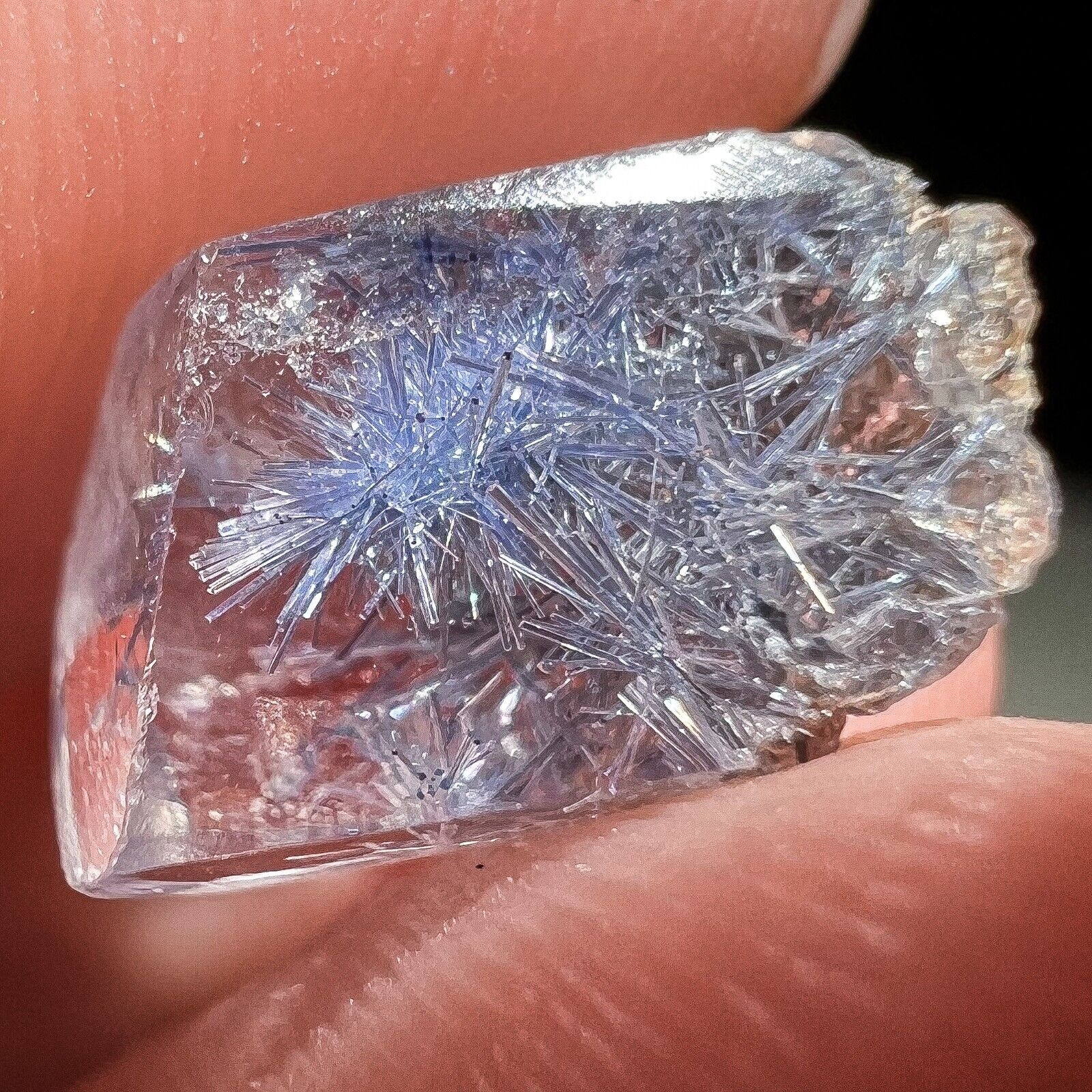Picture 7 of 10