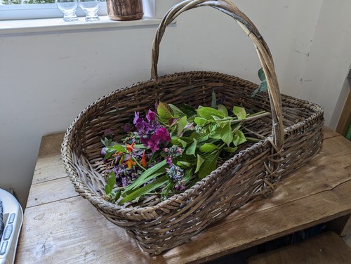 Wicker Trug'Flower Basket'1900-1910 English Original Condition Rare Prop Display - Picture 18 of 24